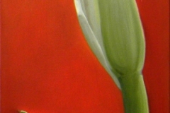 Cala Profile (2)