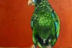 Caribbean Parrot
