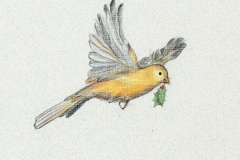 Christmas Canary (2002)