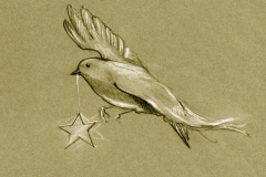 Christmas Bird 2004