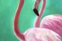 Pink Flamingos