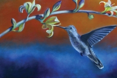 Summer Hummingbird