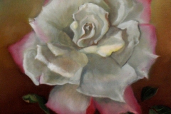 Tinted Rose
