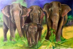 Vivas Elephants